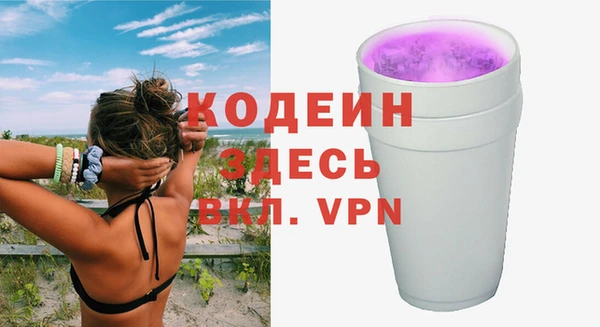 дживик Абаза