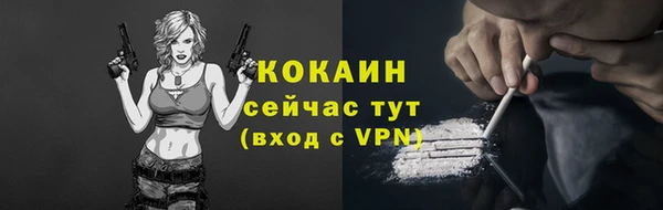дживик Абаза