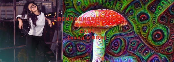 шишки Абинск