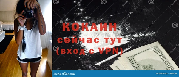дживик Абаза